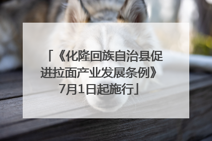 《化隆回族自治县促进拉面产业发展条例》7月1日起施行