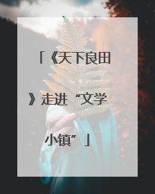 《天下良田》走进“文学小镇”