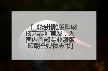 《扬州雕版印刷技艺志》首发，为国内首部专业雕版印刷全媒体志书