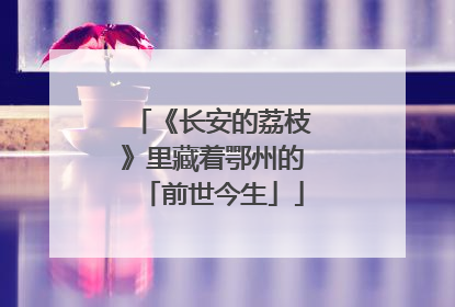 《长安的荔枝》里藏着鄂州的「前世今生」