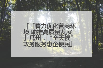「着力优化营商环境 助推高质量发展」瓜州：“全天候”政务服务惠企便民