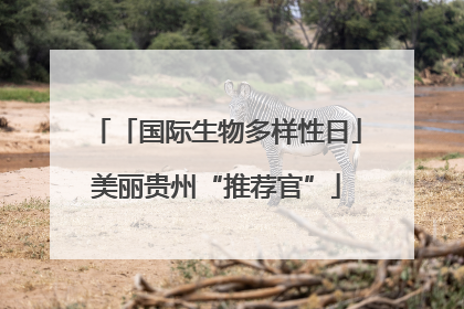「国际生物多样性日」美丽贵州“推荐官”