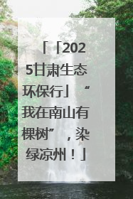 「2025甘肃生态环保行」“我在南山有棵树”，染绿凉州！