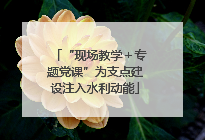 “现场教学＋专题党课”为支点建设注入水利动能