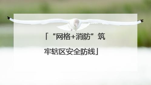 “网格+消防”筑牢辖区安全防线