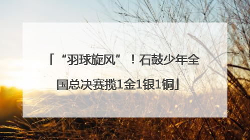 “羽球旋风”！石鼓少年全国总决赛揽1金1银1铜
