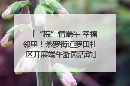 “粽”情端午 幸福邻里！燕罗街道罗田社区开展端午游园活动