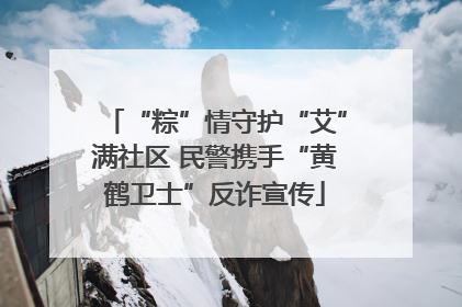 “粽”情守护“艾”满社区 民警携手“黄鹤卫士”反诈宣传