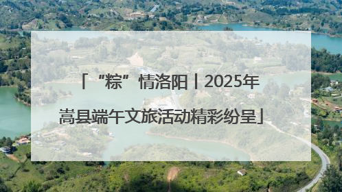 “粽”情洛阳丨2025年嵩县端午文旅活动精彩纷呈