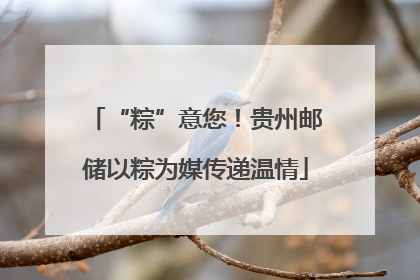 “粽”意您！贵州邮储以粽为媒传递温情