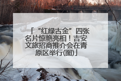 “红绿古金”四张名片惊艳亮相！吉安文旅招商推介会在青原区举行(图)