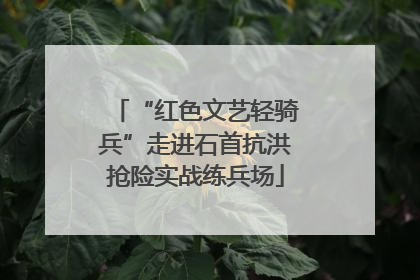 “红色文艺轻骑兵”走进石首抗洪抢险实战练兵场