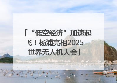 “低空经济”加速起飞！杨浦亮相2025世界无人机大会
