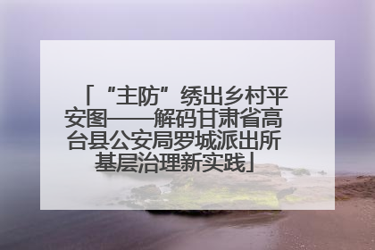 “主防”绣出乡村平安图——解码甘肃省高台县公安局罗城派出所基层治理新实践