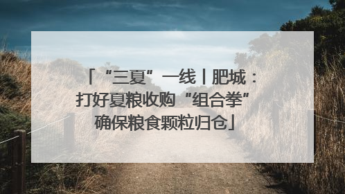 “三夏”一线丨肥城：打好夏粮收购“组合拳” 确保粮食颗粒归仓