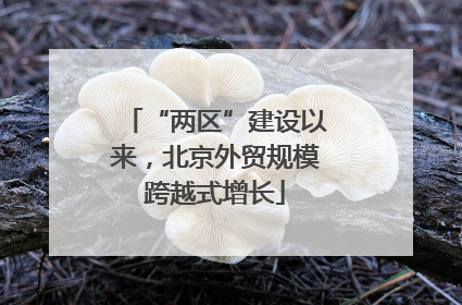 “两区”建设以来，北京外贸规模跨越式增长