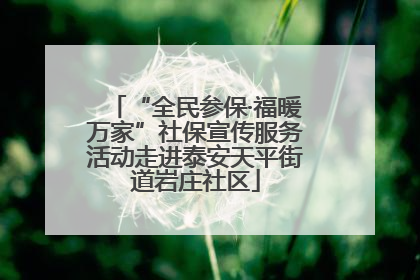 “全民参保·福暖万家”社保宣传服务活动走进泰安天平街道岩庄社区