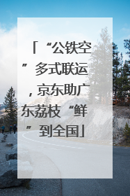 “公铁空”多式联运，京东助广东荔枝“鲜”到全国