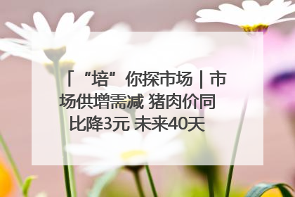 “培”你探市场｜市场供增需减 猪肉价同比降3元 未来40天便宜猪肉敞开吃