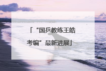 “国乒教练王皓考编”最新进展