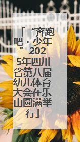 “奔跑吧・少年”2025年四川省第八届幼儿体育大会在乐山圆满举行