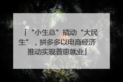 “小生意”撬动“大民生”，拼多多以电商经济推动实现普惠就业