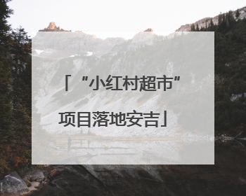 “小红村超市”项目落地安吉