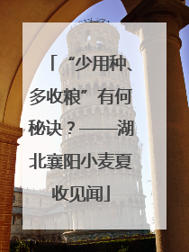 “少用种、多收粮”有何秘诀？——湖北襄阳小麦夏收见闻