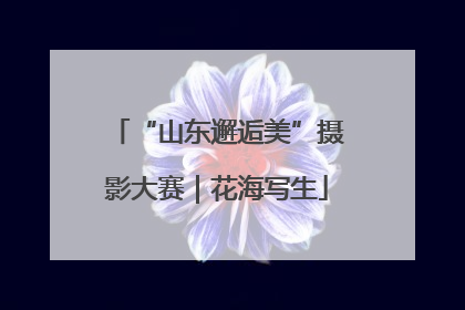 “山东邂逅美”摄影大赛｜花海写生