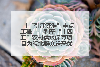 “引江济淮”重点工程——利辛“十四五”农村供水保障项目为皖北群众送来优质“引调水”