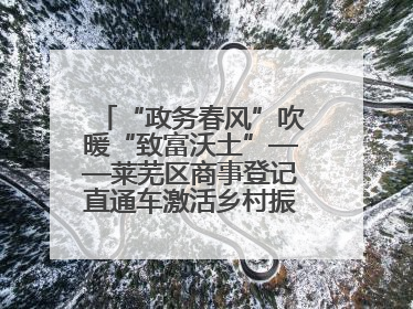 “政务春风”吹暖“致富沃土”——莱芜区商事登记直通车激活乡村振兴“一池春水”