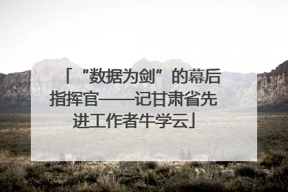 “数据为剑”的幕后指挥官——记甘肃省先进工作者牛学云
