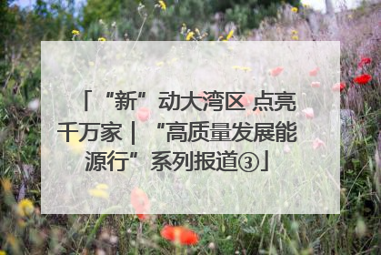 “新”动大湾区 点亮千万家｜“高质量发展能源行”系列报道③