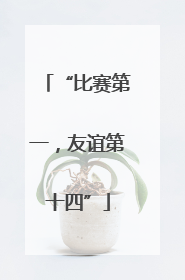 “比赛第一，友谊第十四”