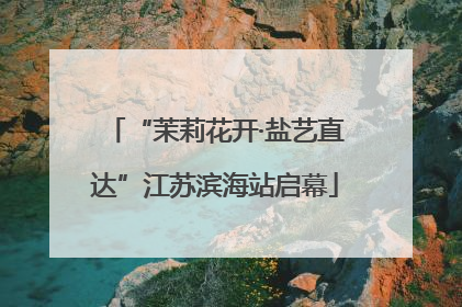 “茉莉花开·盐艺直达”江苏滨海站启幕