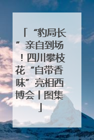 “豹局长”亲自到场！四川攀枝花“自带香味”亮相西博会丨图集