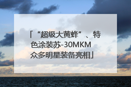 “超级大黄蜂”、特色涂装苏-30MKM 众多明星装备亮相