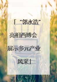 “邻水造”亮相西博会 展示多元产业风采