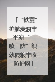 “铁翼”护航麦浪丰 平凉“一喷三防”织就夏粮丰收防护网