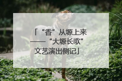 “香”从塬上来——“大塬长歌”文艺演出侧记