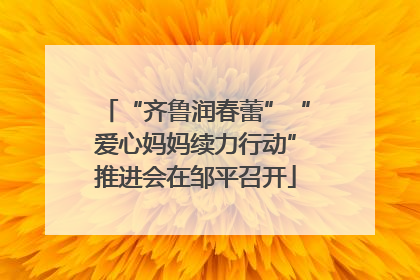 “齐鲁润春蕾”“爱心妈妈续力行动”推进会在邹平召开
