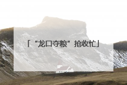 “龙口夺粮”抢收忙