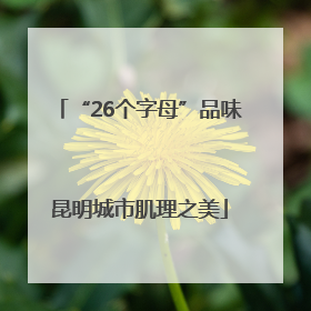 “26个字母”品味昆明城市肌理之美