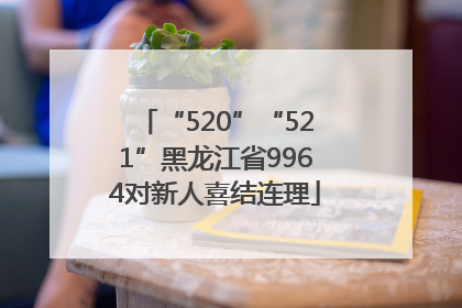 “520”“521”黑龙江省9964对新人喜结连理