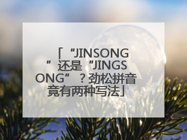 “JINSONG”还是“JINGSONG”？劲松拼音竟有两种写法