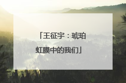 王征宇：琥珀虹膜中的我们