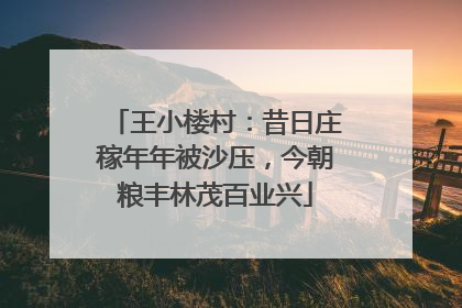 王小楼村：昔日庄稼年年被沙压，今朝粮丰林茂百业兴