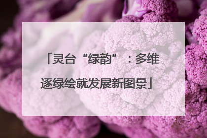 灵台“绿韵”：多维逐绿绘就发展新图景