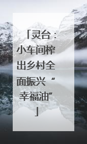 灵台：小车间榨出乡村全面振兴“幸福油”