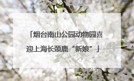 烟台南山公园动物园喜迎上海长颈鹿“新娘”
